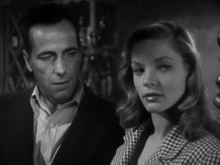 To Have and Have Not film still
